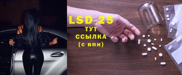 амф Богданович